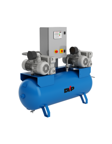CPA Duplex vacuum system DVP | 50–610 m3/h